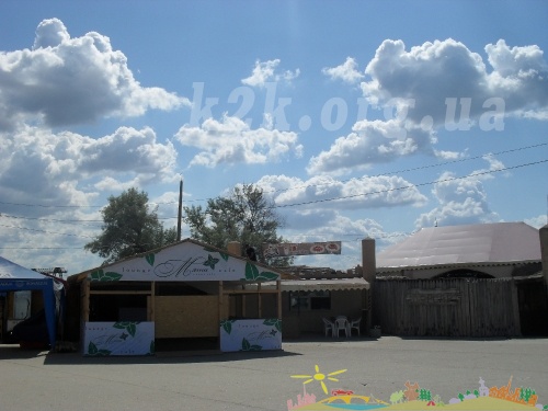SDC11919
