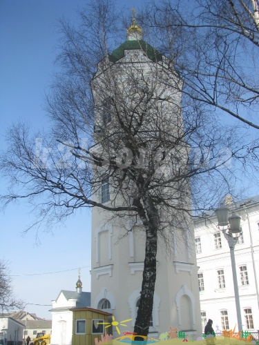 lavra_25