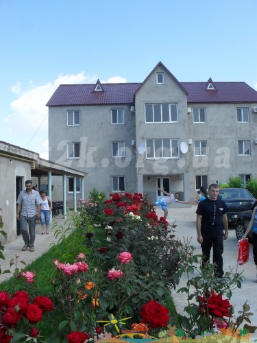 SDC11913